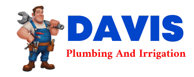 Trusted plumber in DAVILLA